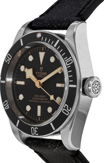 Tudor BLACK BAY M79230N-0008 Replica Watch